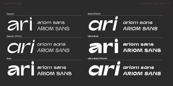 Ariom Sans Font Poster 4