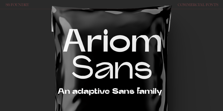 Ariom Sans Font Poster 2