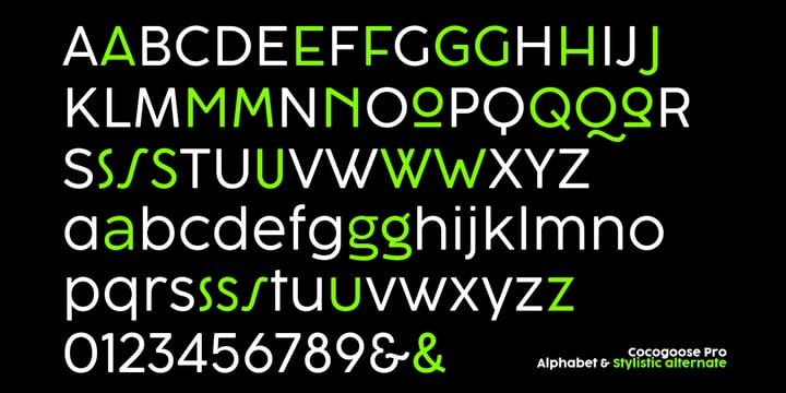 Cocogoose Pro Font | Webfont & Desktop | MyFonts