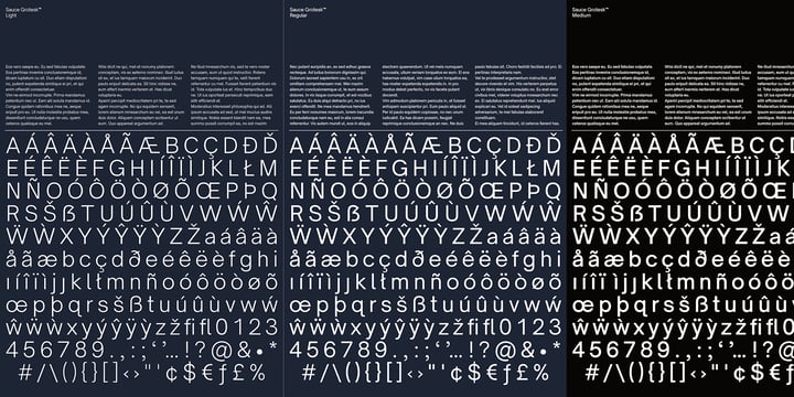 Sauce Grotesk Font Webfont Desktop Myfonts