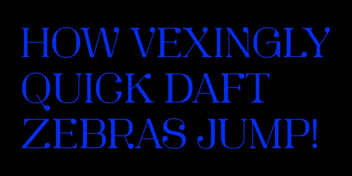 SK Zweig Font Poster 11