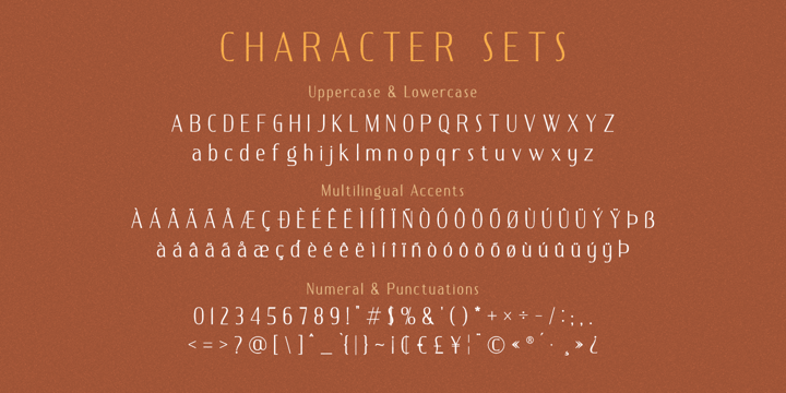 Deluxes Font Poster 9