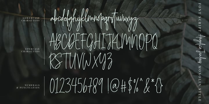 Angelica Jealous Font | Webfont & Desktop | MyFonts