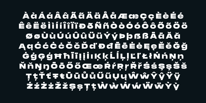 Phonk Font | Webfont & Desktop | MyFonts