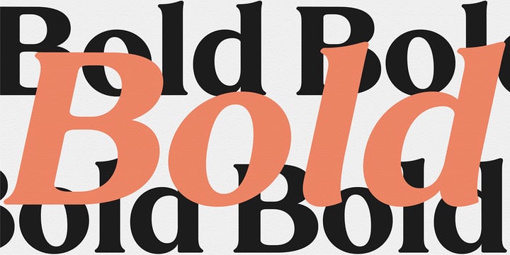 Sregs Serif Display Font Poster 8