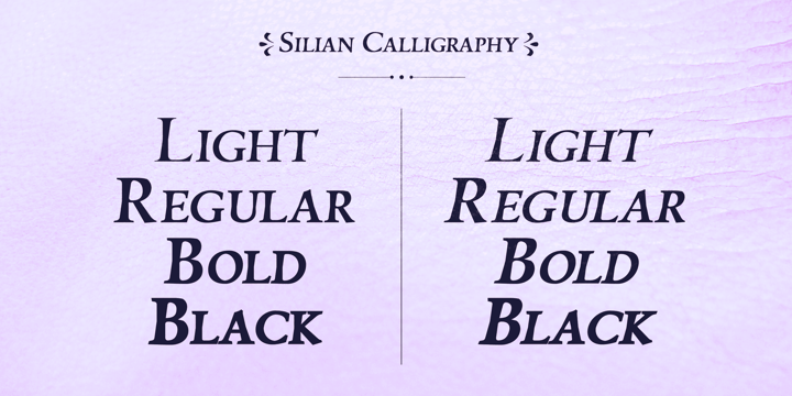 Silian Calligraphy Font Poster 2
