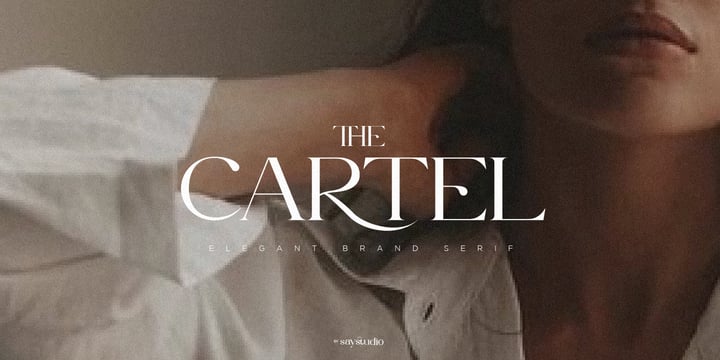 The Cartel Font Poster 14