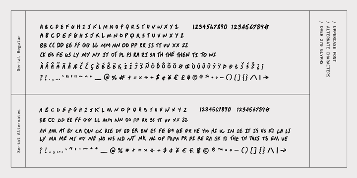 Serial Font | Webfont & Desktop | MyFonts