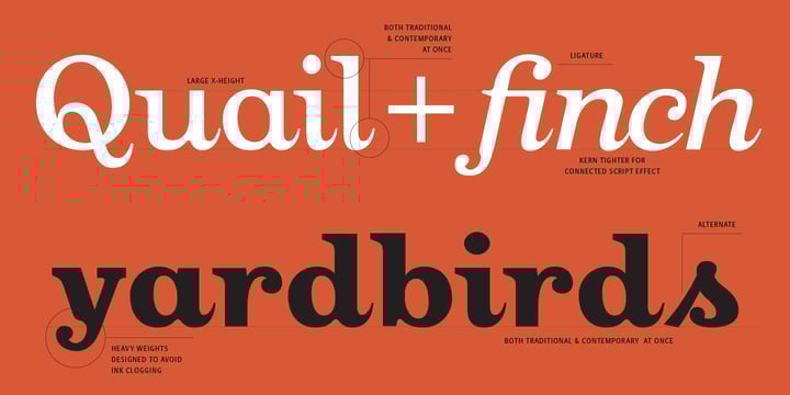 Oxtail Font Poster 8
