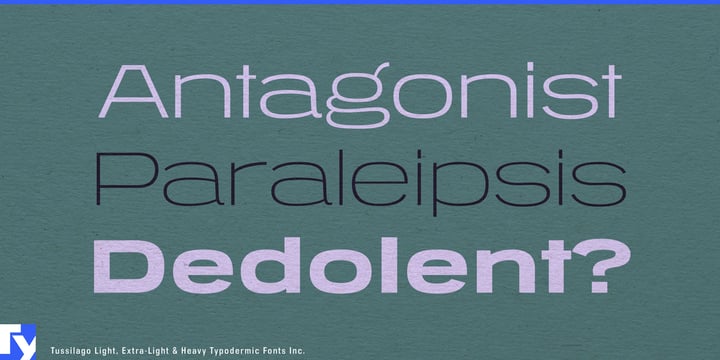 Tussilago Font Poster 6