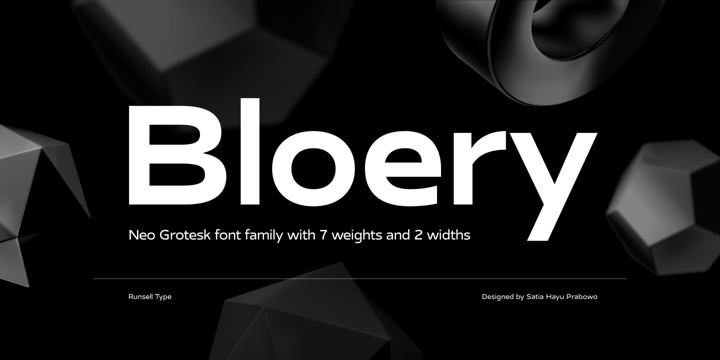 Bloery Font Poster 1