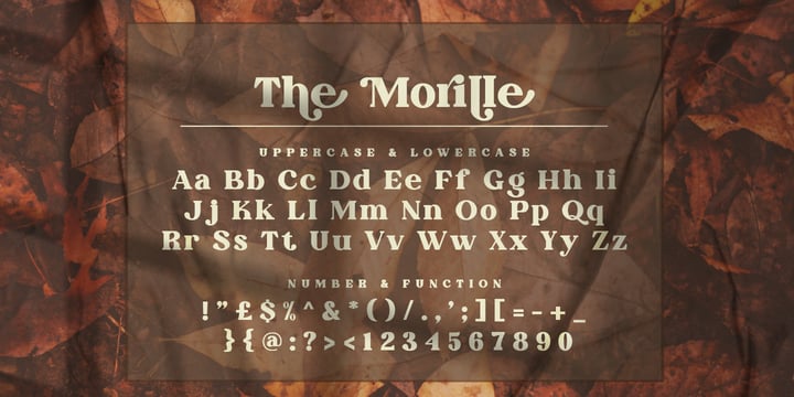 The Morille Font Poster 7