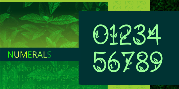 Green Nature Font Poster 4