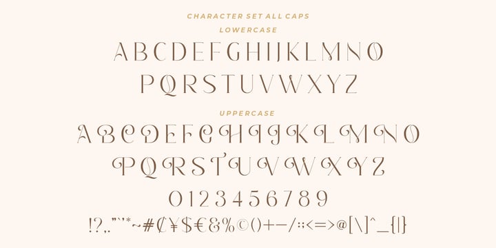 Romantic Serif Font | Webfont & Desktop | MyFonts