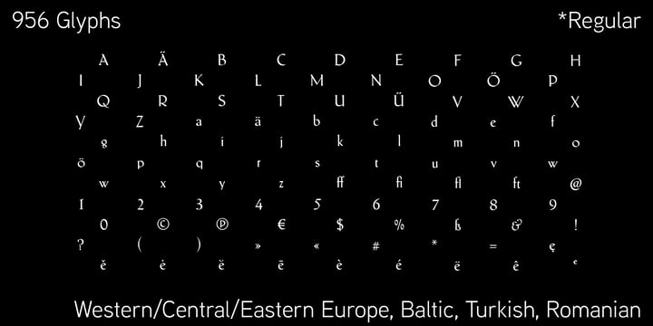 Schneidler Latein Font Poster 5