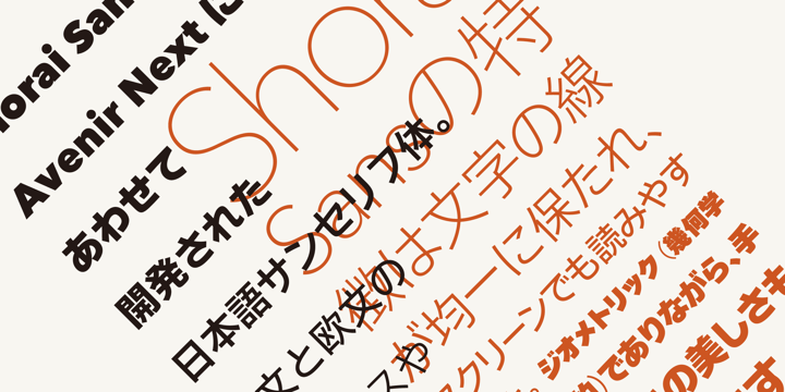 Shorai Sans Font Poster 4