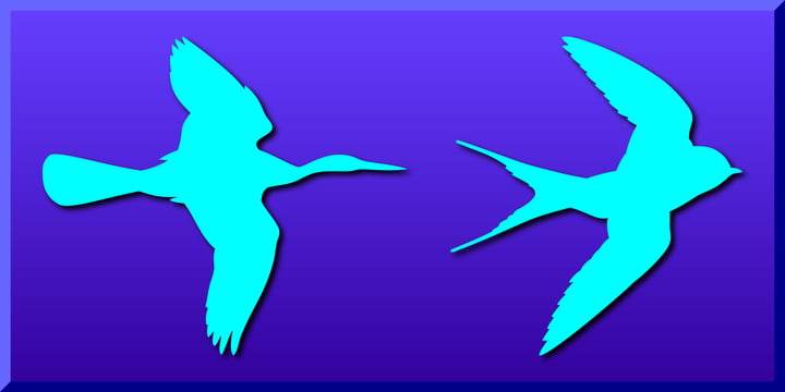 Birds Flying Font Poster 3