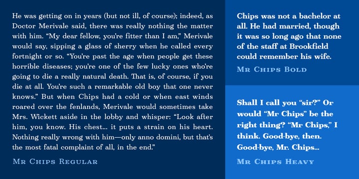 Mr Chips Font Poster 6