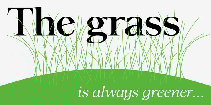 P22 Late November™