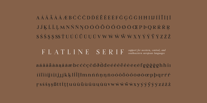 Flatline Serif Font Webfont Desktop Myfonts