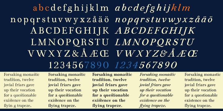 Amaral Font Webfont Desktop Myfonts