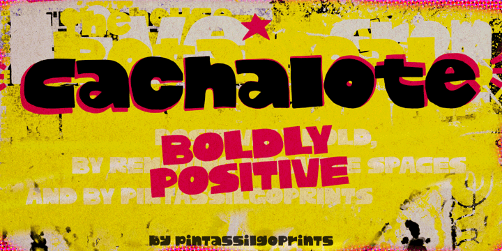 Cachalote Font Poster 1