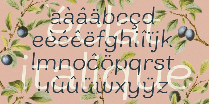 Bakewell Font Poster 12