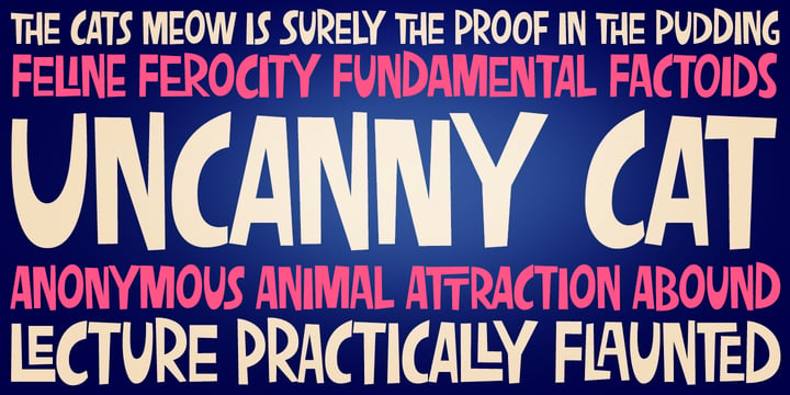 Uncanny Cat PB Font Poster 1