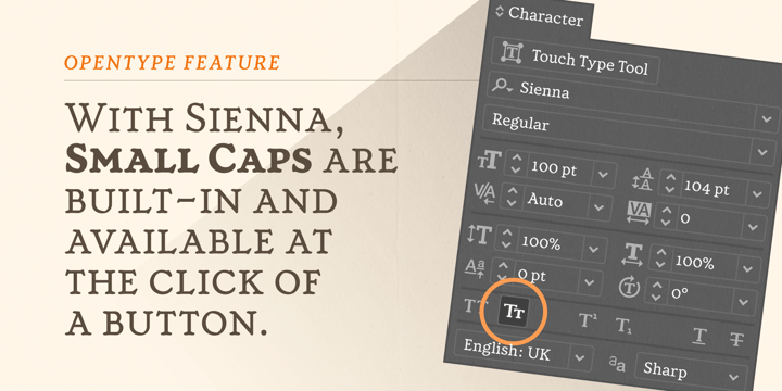 Sienna Font Poster 10