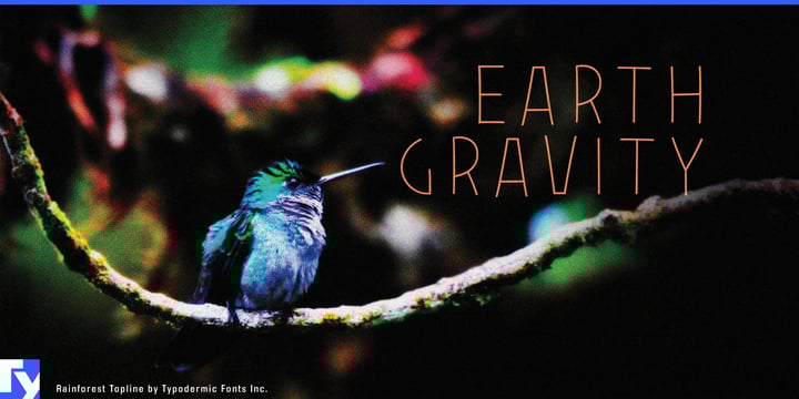 Rainforest Font Poster 7