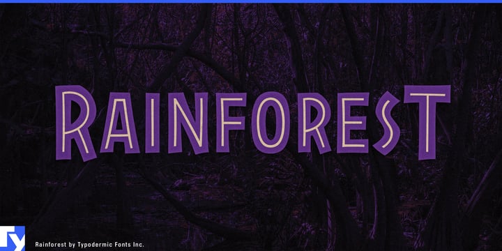 Rainforest Font Poster 1