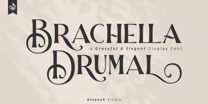 Al Brachella Drumal Font Poster 1