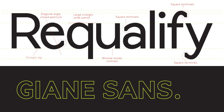 Giane Sans Font Poster 9