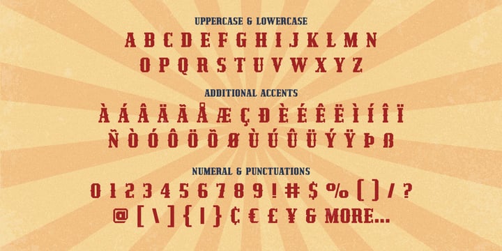 Redzein Font Webfont Desktop Myfonts