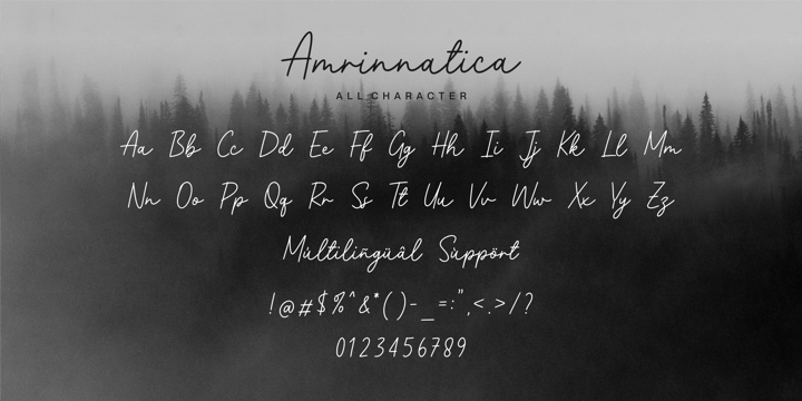 Amrinnatica Font Poster 10