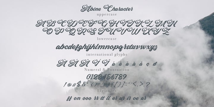 Abine Font Poster 7