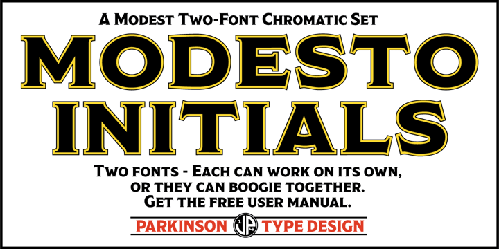 Modesto Initials Font Poster 1