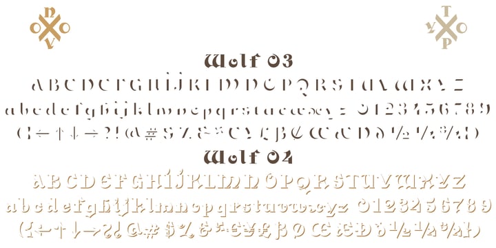 NT Wolf Font Poster 4