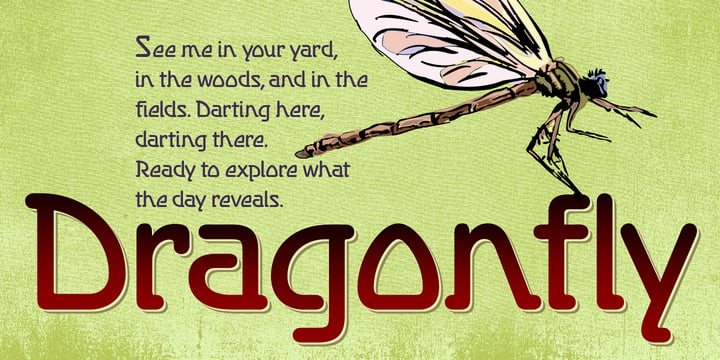 Dragonfly BF Font Poster 1