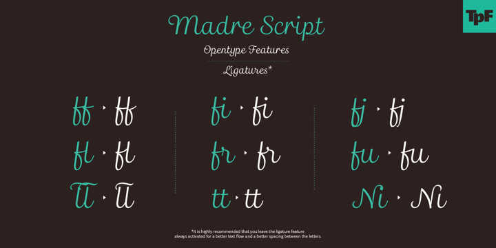 Madre Script Font Poster 6