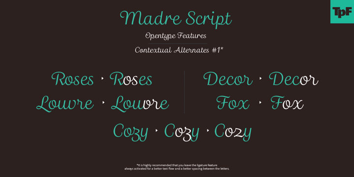 Madre Script Font Poster 10