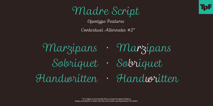 Madre Script Font Poster 11