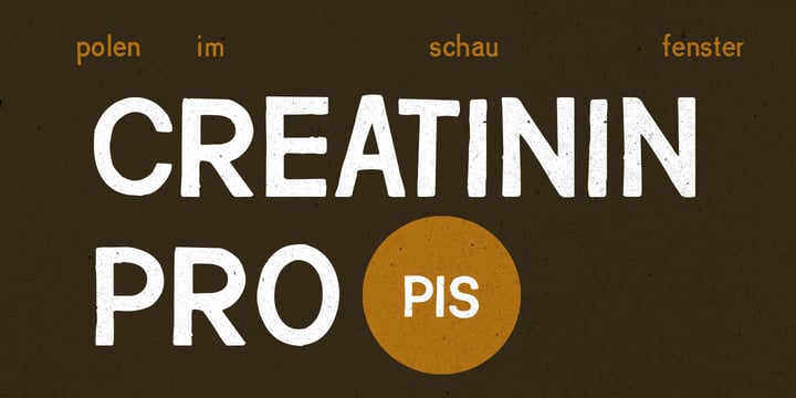 PiS Creatinin Pro Font Poster 1