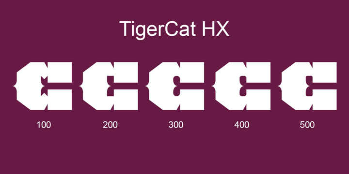 TigerCat Font Poster 24