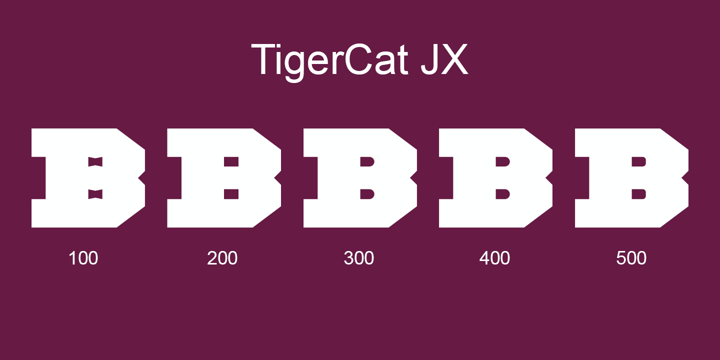 TigerCat Font Poster 26