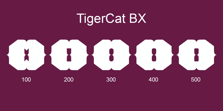 TigerCat Font Poster 18