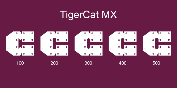 TigerCat Font Poster 29