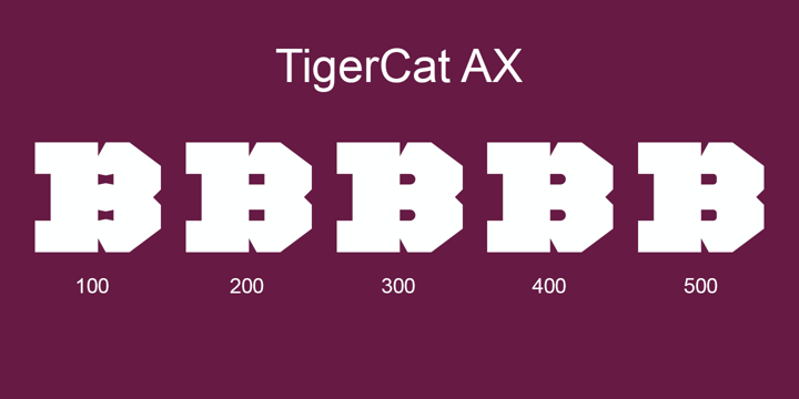 TigerCat Font Poster 17