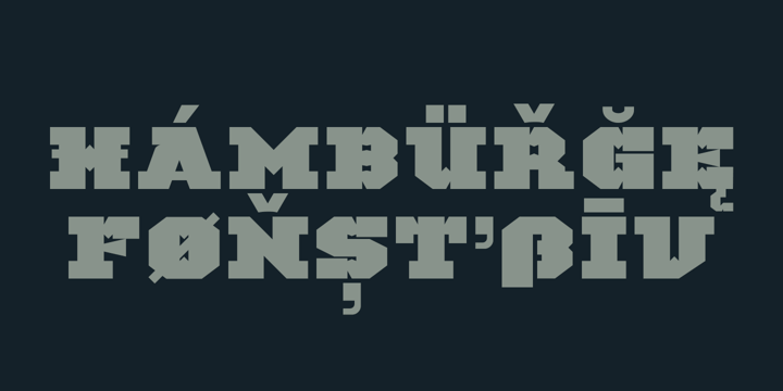 TigerCat Font Poster 6