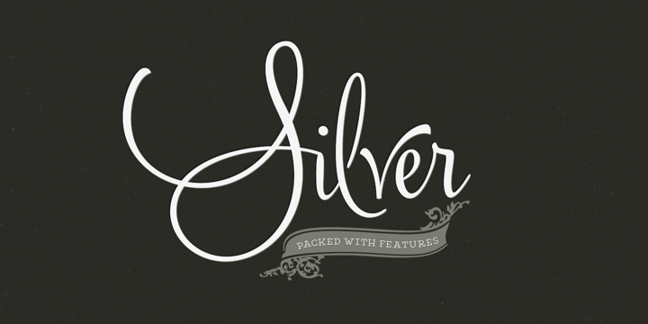 Silver Font Poster 1